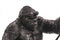 Housevitamin staande gorilla lamp zwart