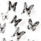 Umbra Chrysalis muurvlinders zwart