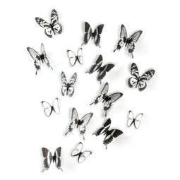 Umbra Chrysalis muurvlinders zwart
