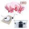 Shower & Spa Set - Candy Shop Print
