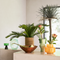 Vase Nostra Green / Glass