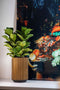Capi Europe - Vaas hoog Groove Black & Gold - 14x22 - Goud - Opening Ø11.9 - Bloempot voor binnen - 5 jaar garantie - BGVGB433