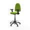 Piqueras y Crespo B2D01RT - Bureaustoel - Hoogteverstelbaar met armleuning - Pistache