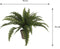 Mica Decorations Varen - Kunstplant - 45 x 70 cm - Groen