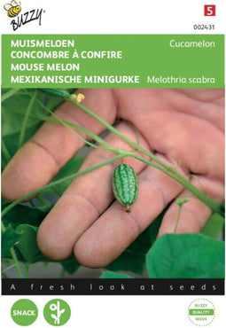 5 stuks - Buzzy - Muis meloen Cucamelon Tuinplus