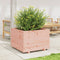 vidaXL - Plantenbak - 70x70x49,5 - cm - massief - douglashout