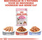 Royal Canin Kitten - Katten Natvoer in Gravy - 12 x 85 gr