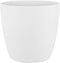 Bananenplant met Pokon en Elho sierpot – ↨ 80cm – ⌀ 24cm