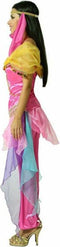 Costume for Adults Pink Arab Princess
