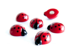 Trendform Magneet Lieveheersbeestje - set van 6 stuks