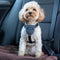 Hondentuigje Company of Animals CarSafe Zwart XS