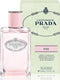 Prada - Les Infusions de Prada Rose - Eau De Parfum - 100ML