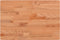 vidaXL - Tafelblad - rechthoekig - 60x40x4 - cm - massief - beukenhout