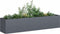 vidaXL - Plantenbak - 200x40x40 - cm - koudgewalst - staal - antracietkleurig