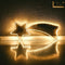 Anna's Collection - Smd Shooting Star 67X27Cm 180Led/2M Warm White...