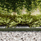 vidaXL - Grasrand - 50 - stuks - Olijf - groen - 100x0.5x15 - cm - Kunststof