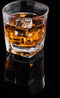 VDN Donella Whiskey Glazen Set handgeblazen - 4 Whiskeyglazen – Tumbler - Loodvrij Kristal glas