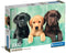 Clementoni - Puzzel - 1000 Stukjes - Drie Labradors - Puzzel Voor Volwassenen - High Quality Collection