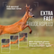 STREX SP265 - Wildlife Camera - 16MP 1080P Nachtzicht - Groen