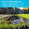 vdvelde.com - Gele Lis - Iris Pseudacorus - Voor ca. 2,5 m² - 30 losse filterplanten - Voor vijver plantenfilters - Winterharde Vijverplanten - Van der Velde Waterplanten