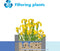 vdvelde.com - Gele Lis - Iris Pseudacorus - Voor ca. 2,5 m² - 30 losse filterplanten - Voor vijver plantenfilters - Winterharde Vijverplanten - Van der Velde Waterplanten
