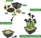 vdvelde.com - Lis Paars - Paarse Wateriris - Iris Louisiana Black Gamecock - Iris Plant 4 stuks + Vijvermand - Winterharde Vijverplanten - Van der Velde Waterplanten
