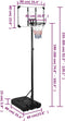 VDXL Basketbalstandaard 235-305 cm polycarbonaat transparant