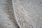 Veer Carpets Vloerkleed Steve Beige Rond ø160 cm