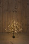 Verlicht boompje 60cm - Eikenboompje met LED verlichting - Zwart - 230 lampjes - classic wit
