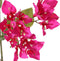 Bougainvillea - Hoge kwaliteit kunstbloem - kunstplant - Losse tak - 80 cm