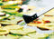Velda Duo Pond Tool
