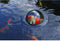 Velda Floating Fish Dome - M