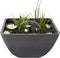 Velda Fountain Pond Square 75x75x35 cm