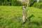 Velleman Metaaldetector, waterdichte zoekspoel 24 cm, voor kinderen