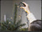 Vellight ATRIA boommantel, kerstboomverlichting voor bomen tot 2.4 m, Arizona wit, betoverend binnen en buiten