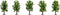 NOCH 25620 Set bomen Loofboom 80 mm (max) 5 stuk(s)