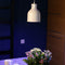 Venso EcoSolutions E27 SAGA lampenkap grijs, verbeterde fotosynthese en hogere chlorofylvorming, LED groeilamp, groeilicht voor kamerplanten, groenten, bloemen