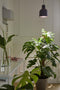 Venso EcoSolutions E27 SAGA lampenkap roestkleurig, verbeterde fotosynthese en hogere chlorofylvorming, LED groeilamp, groeilicht voor kamerplanten, groenten, bloemen