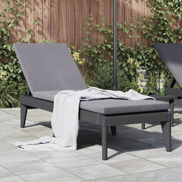 vidaXL - Ligbed - Verstelbare rugleuning - 186x60x29 cm - Antraciet