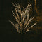 Verlichte bruine lichtboom - berkenboom 160cm met 144 led lichtjes classic warm