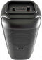 Verlichte Karaokeluidspreker - INOVALLEY - KA22-BTH - Bluetooth V5.0 - 49 cm - 500 W - Zwart