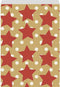 Verpakkingszakjes stars in the sky 21x30cm 200 stuks