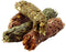 Versele-Laga Complete Cuni Junior - 500 g