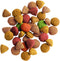 Versele-Laga Lara - Adult - Kalkoen/Kip - Kattenvoer - 2 kg