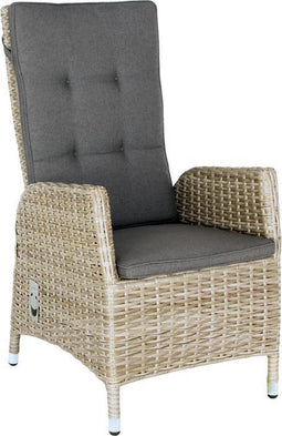 Verstelbare stoel Santa Cruz Trout Grey