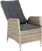 Verstelbare stoel Santa Cruz Trout Grey