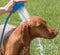 Verzorgingsset - hond - 5-delig - wassen, borstelen en masseren