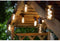 Vintage 365 Festoon - 15L lumen- 5.5 m