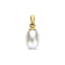 Marie Celeste - Hanger - 14 karaat goud - Wit parel