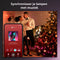 Philips Hue Festavia - Lichtsnoer - 20 meter - 250 LED's - IP44